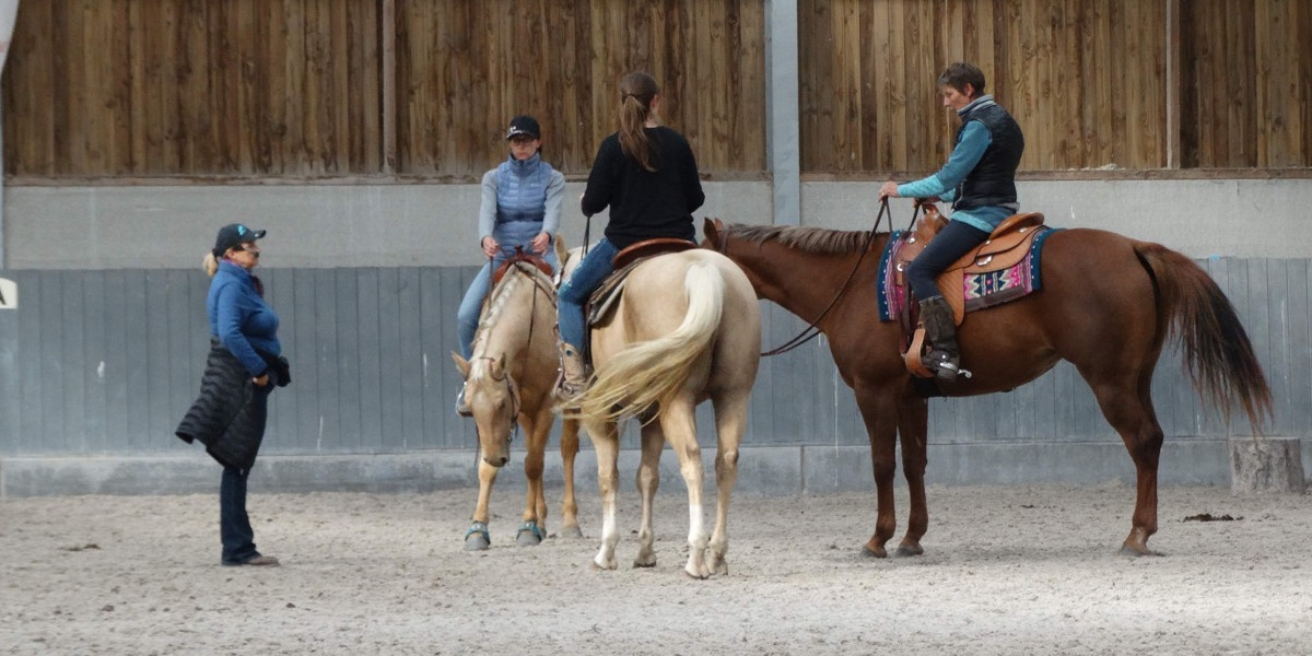 Lyne Laforme - Coach éducation cheval