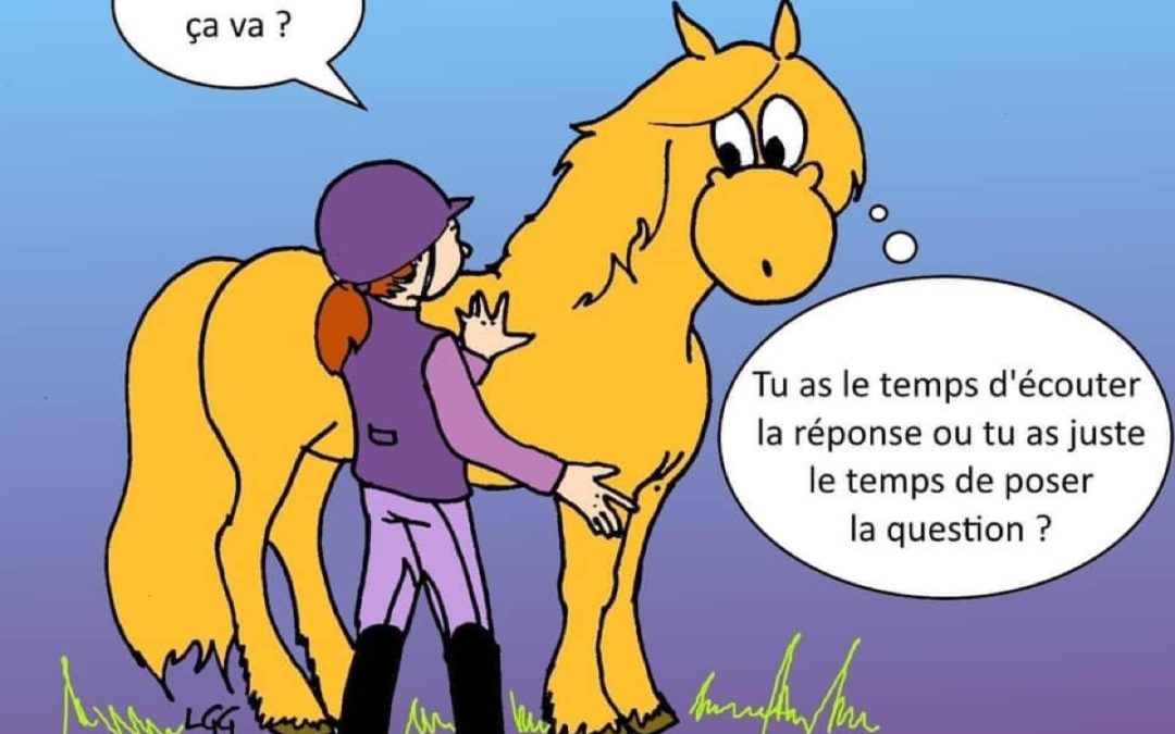 Comment établir une conversation bilatérale  entre l’humain et son cheval.