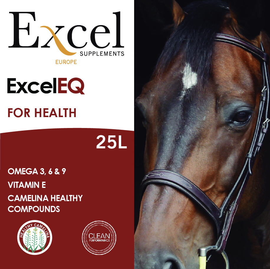 Excel EQ - Supplément cheval europe