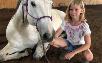 (Blog) COMMUNICATION vs CONTRÔLE avec votre cheval