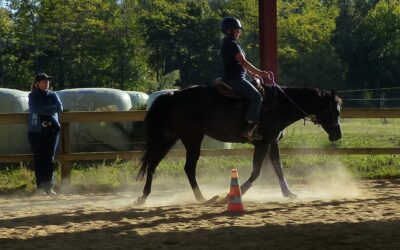 LES PARCOURS…UNE FAÇON DE MOTIVER !