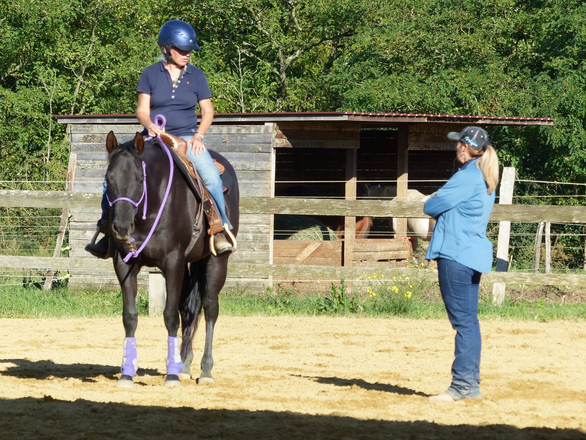 Lyne Laforme - Coach éducation cheval