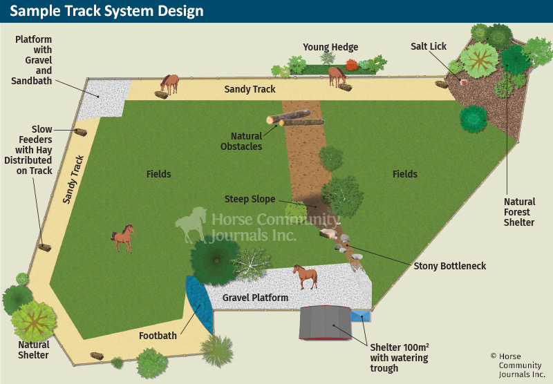 Enrichir l’environnement de votre cheval ! Offrez liberté, mouvement et bien-être à votre cheval grâce au Paddock Paradise.