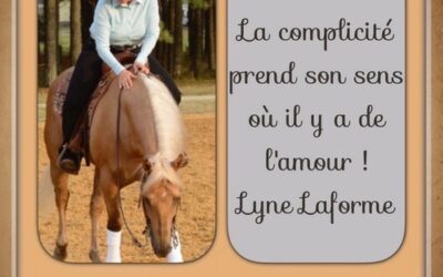 LE BON VOULOIR : un cheval qui dit ‘’oui’’.