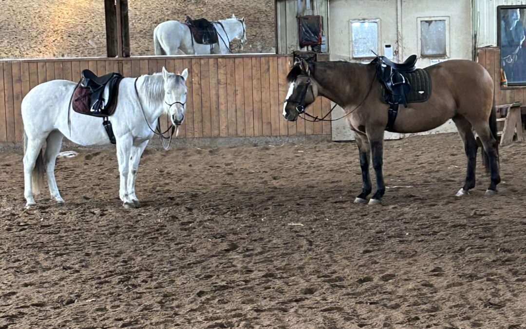 Les codes (partie 2)