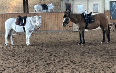 Les codes (partie 2)