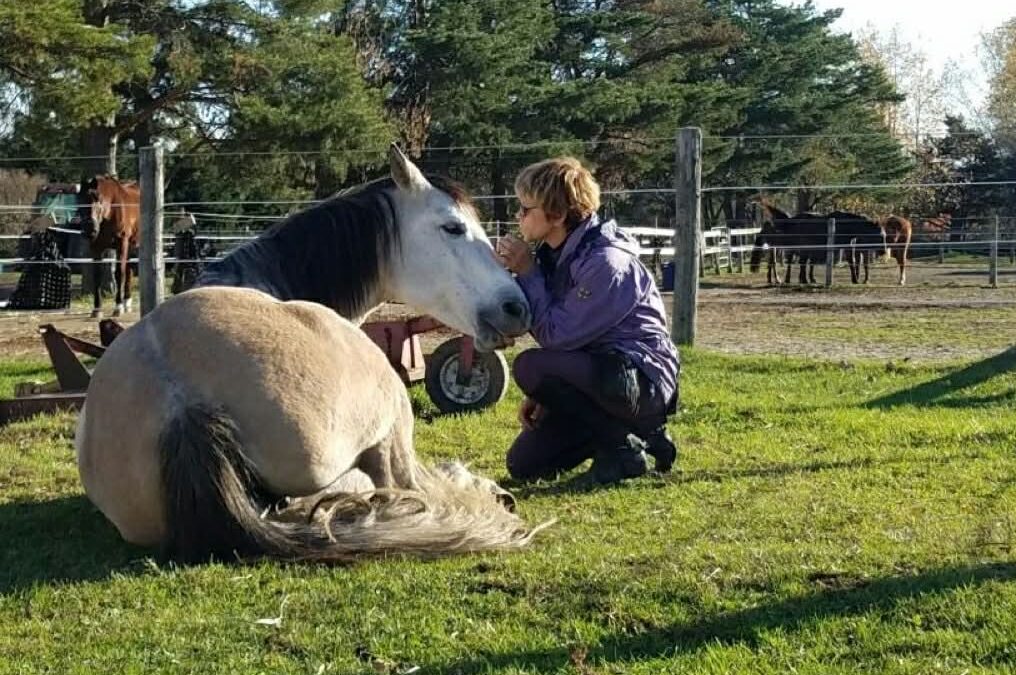 Le coucher : une étape clé de confiance et de connexion