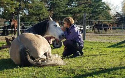 Le coucher : une étape clé de confiance et de connexion