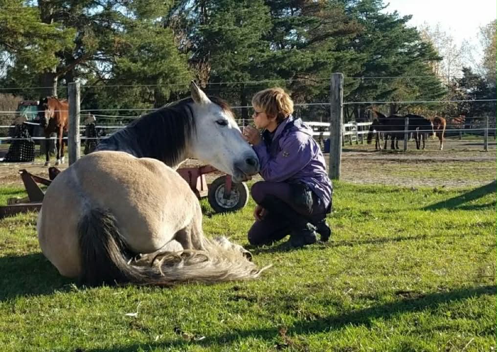 att.BWtsN04i3S_Rb5jNg3rcWR36ytbr5pdRhaQyXPeahRs